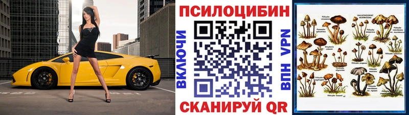 Галлюциногенные грибы мухоморы  Купить где  Ачхой-Мартан 